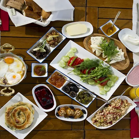 Lodos 4* 알라카티